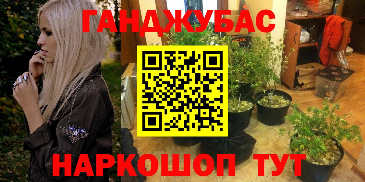 Бошки марихуана ГИДРОПОН  Вход с VPN  Чайковский  Каннабис Ganja  Каннабис индика 